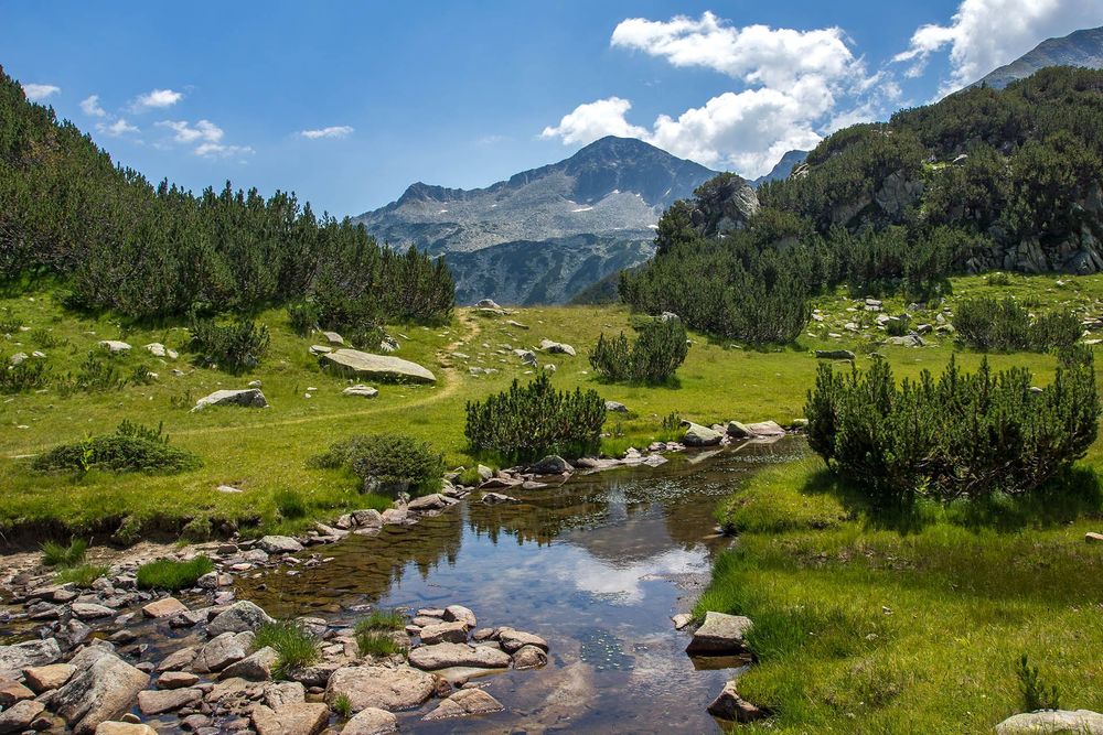 Pirin National Park